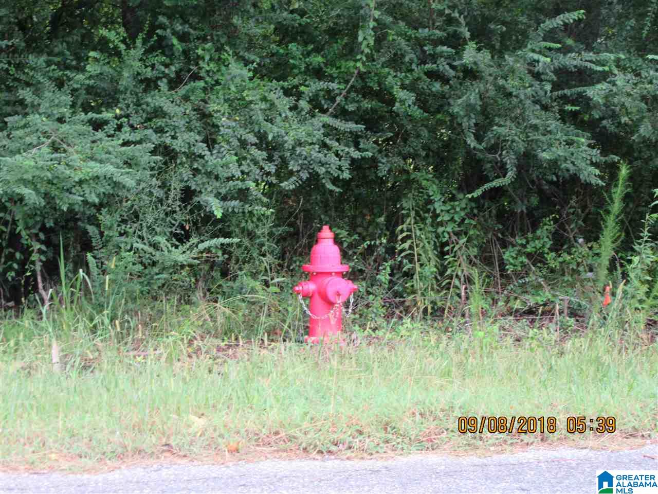 355 Branch Road, Unit 1 Alpine, AL 35014 - Photo 9 of 22 Gallery Image 9