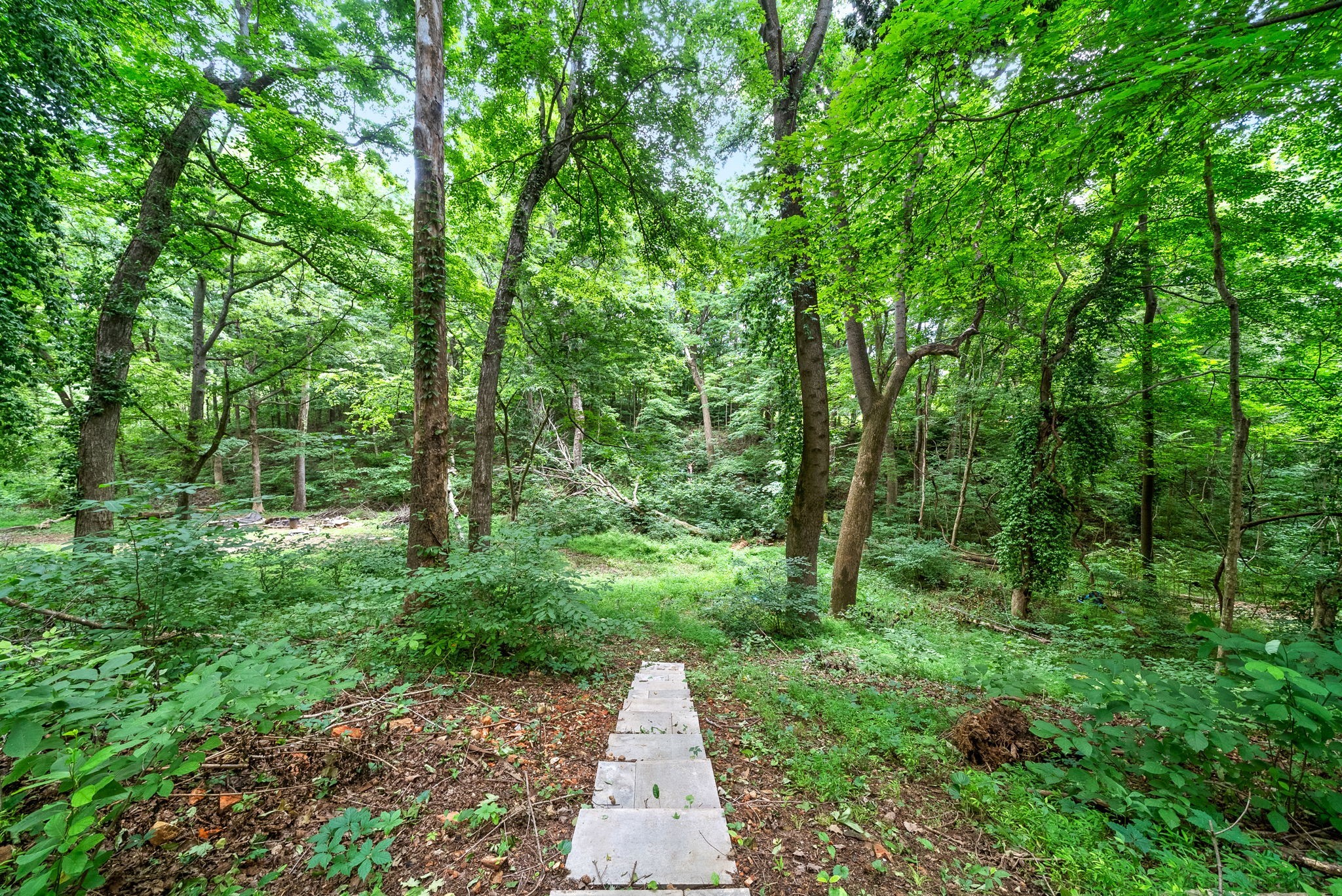2451 Whitfield Road Clarksville, TN 37040 - Photo 41 of 45 Gallery Image 41