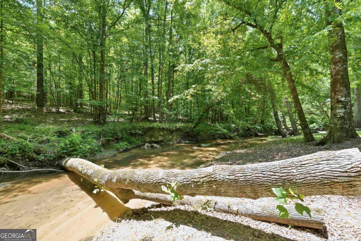 4271 Veazey Road Greensboro, GA 30642 - Photo 54 of 65