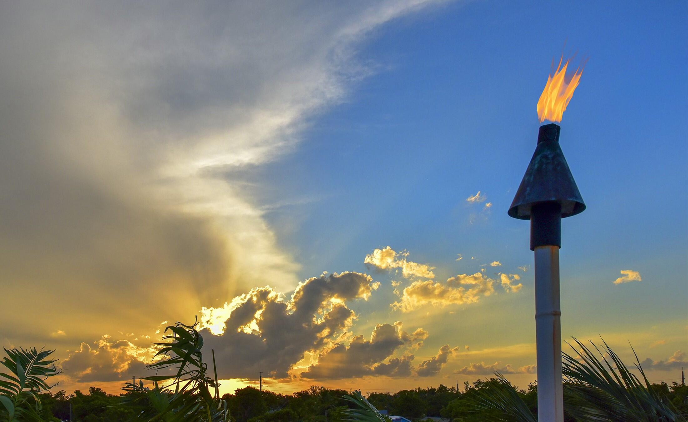 141 Canal Street Tavernier, FL 33070 - Photo 50 of 90 Roof Top Deck Tiki Torches