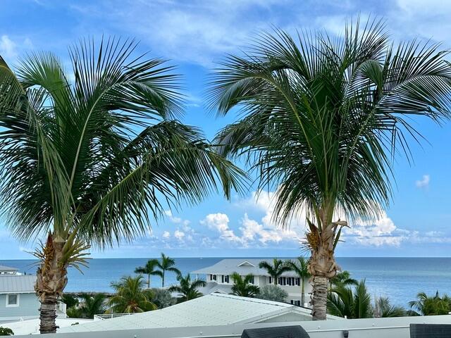 141 Canal Street Tavernier, FL 33070 - Photo 77 of 90 a view of outdoor space with palm trees