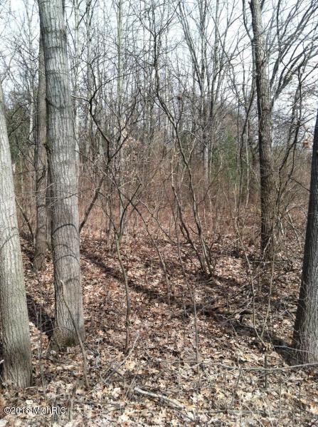 8687 17 Mile Road Northeast Cedar Springs, MI 49319 - Photo 4 of 4