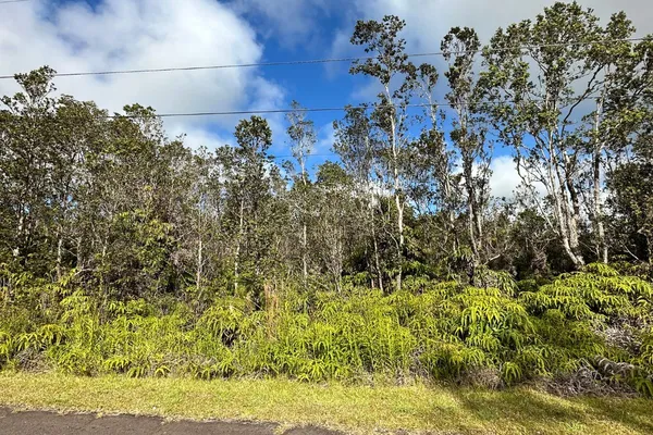 $45,000 | 2069 Mokuna Street, Volcano, HI 96785
