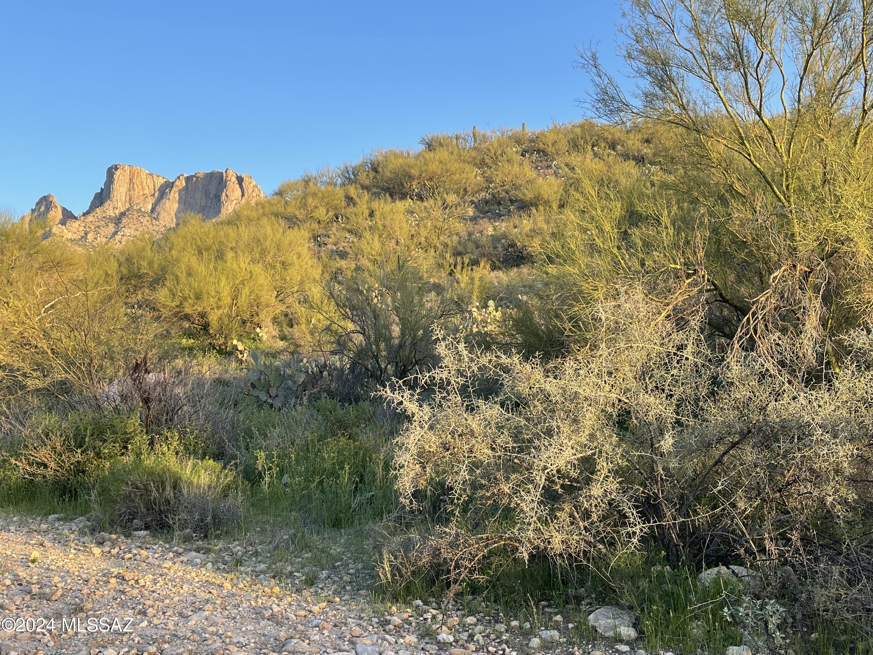 1996 East Buck Ridge Place, Unit 55 Tucson, AZ 85737 - Photo 10 of 12