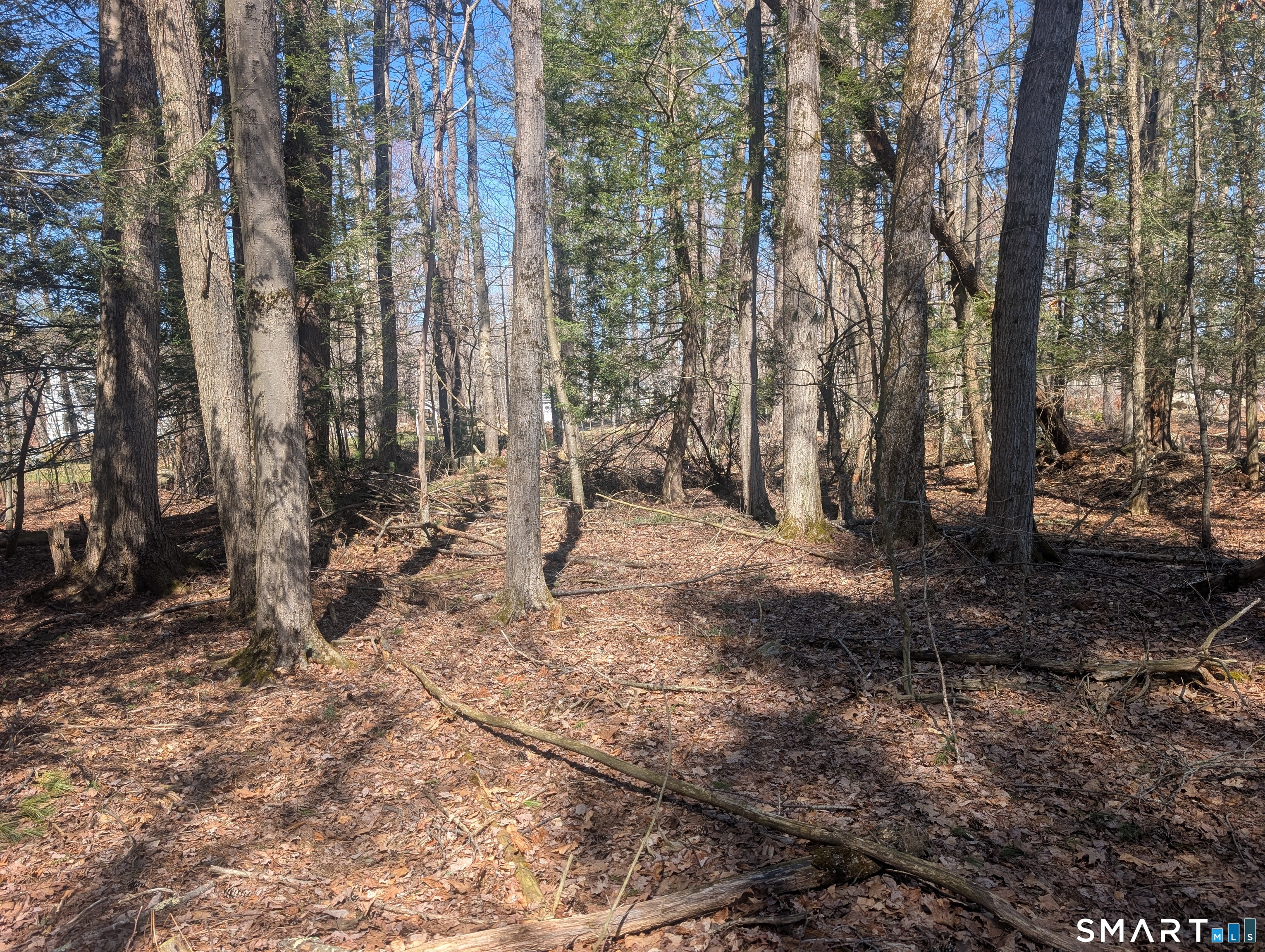 0 Torringford Street Torrington, CT 06791 - Photo 11 of 29 a view of a backyard with trees