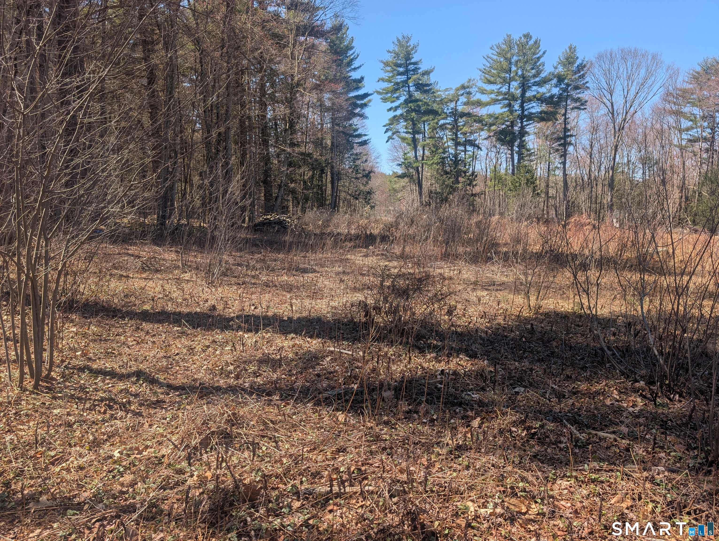 0 Torringford Street Torrington, CT 06791 - Photo 3 of 29 a view of a yard with a tree