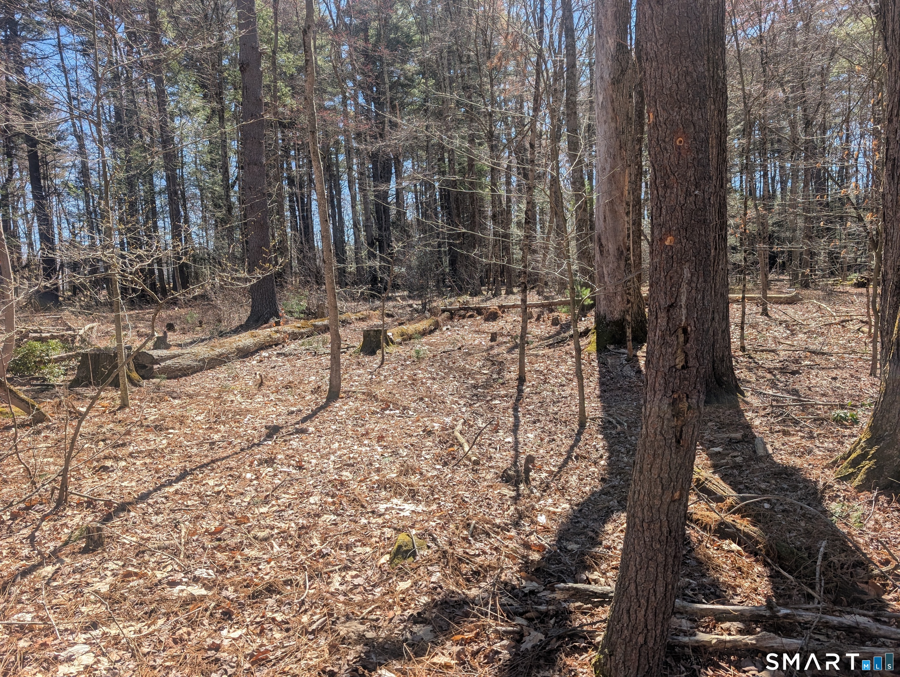 0 Torringford Street Torrington, CT 06791 - Photo 10 of 29 a view of a house with a yard