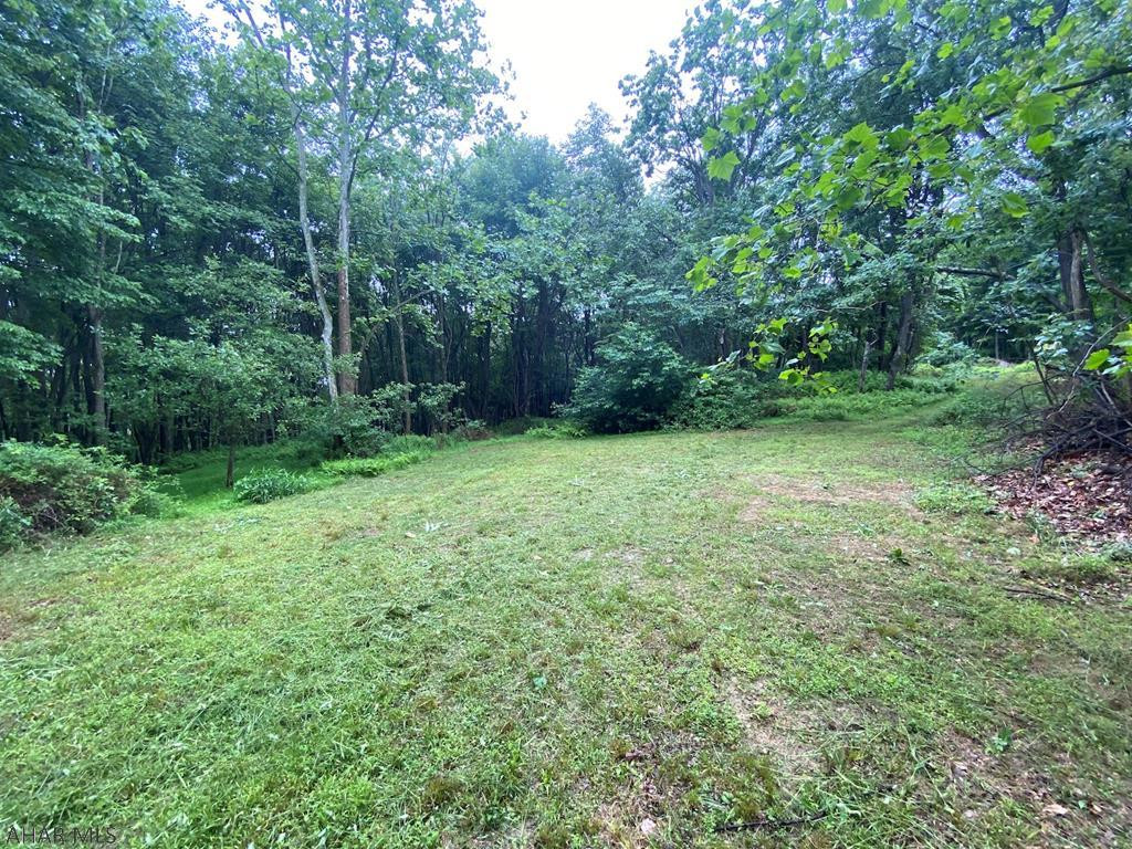 Off Cherry Run Road Bedford, PA 15522 - Photo 1 of 13 Gallery Image 1
