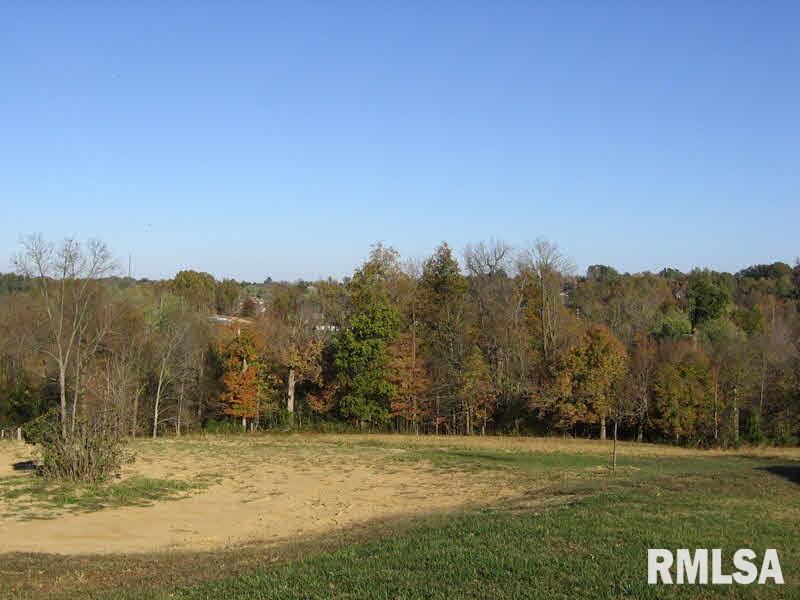 4790 Lake Road Dongola, IL 62926 - Photo 24 of 24 Gallery Image 24