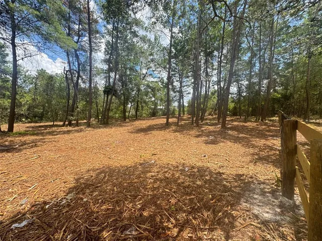 a view of outdoor space with trees