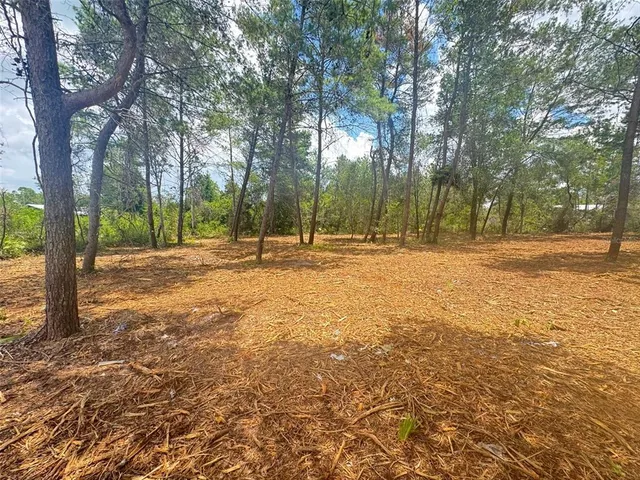 a backyard of a building with trees all around