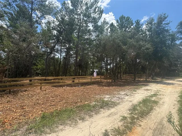 a view of a yard with trees