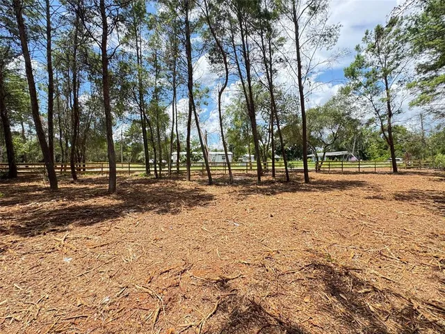 a view of road with trees