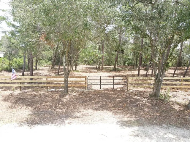 a view of a yard with large trees