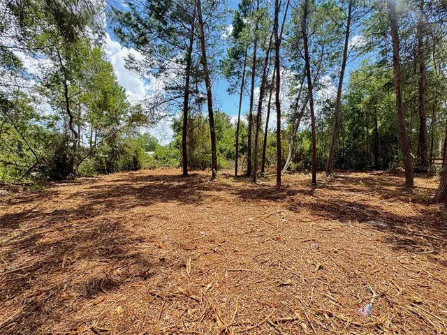 a view of outdoor space with trees