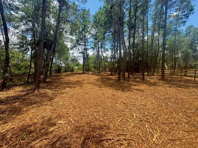 a view of outdoor space with trees