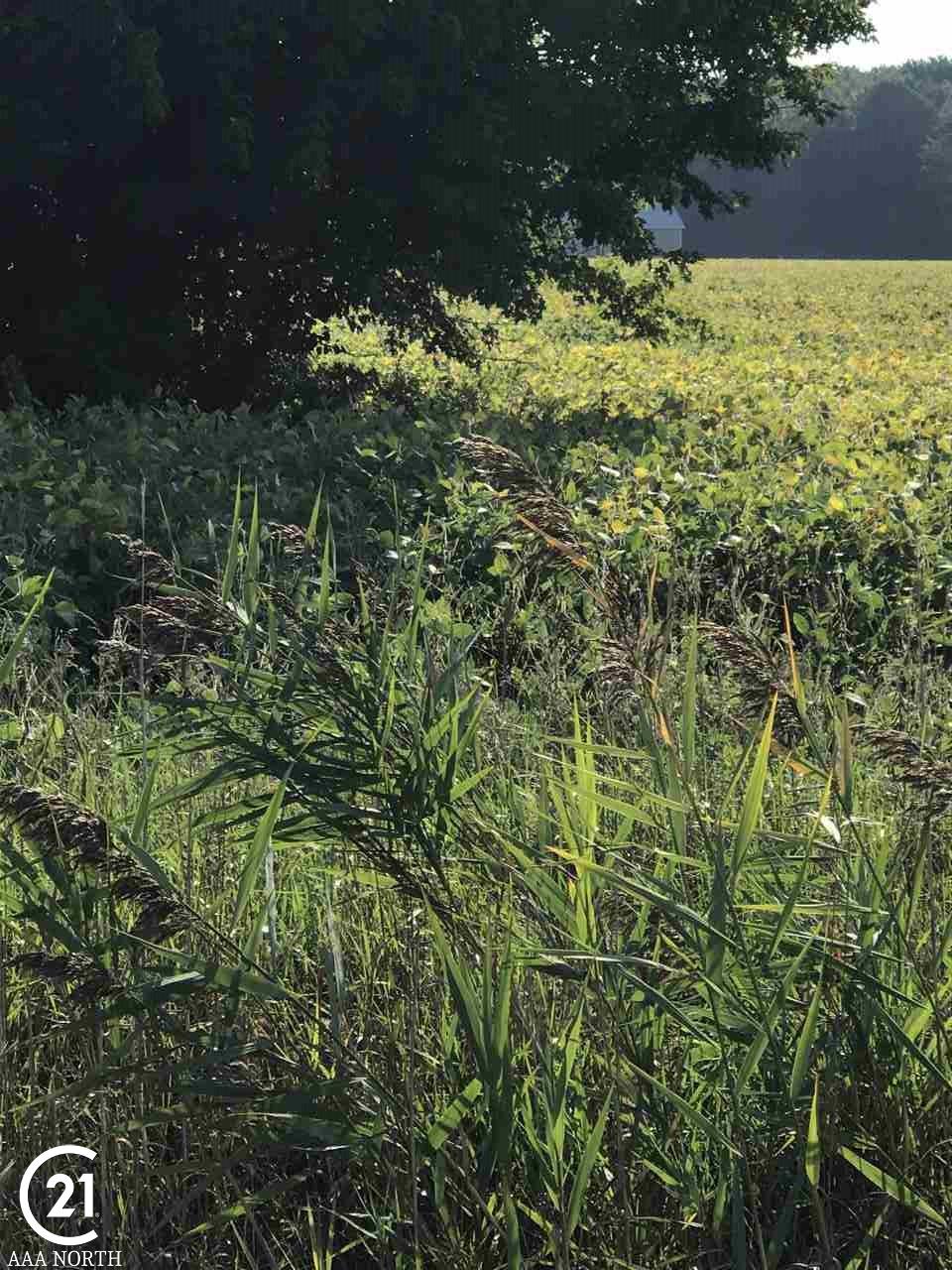 21871 Irwin Road Armada, MI 48005 - Photo 1 of 9