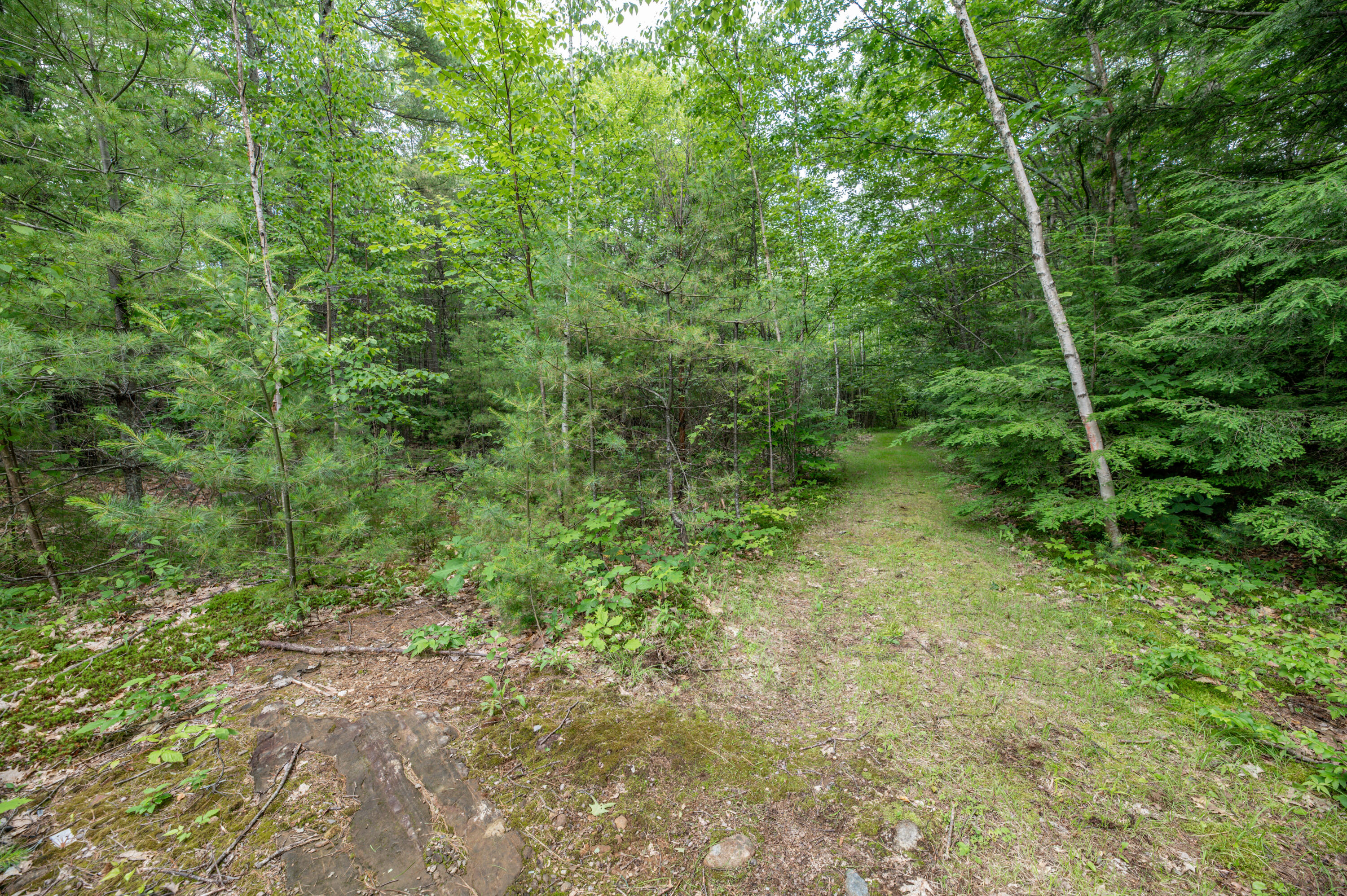 Map7-lot2b Caldwell Road Farmingdale, ME 04344 - Photo 3 of 3 New7 (1)