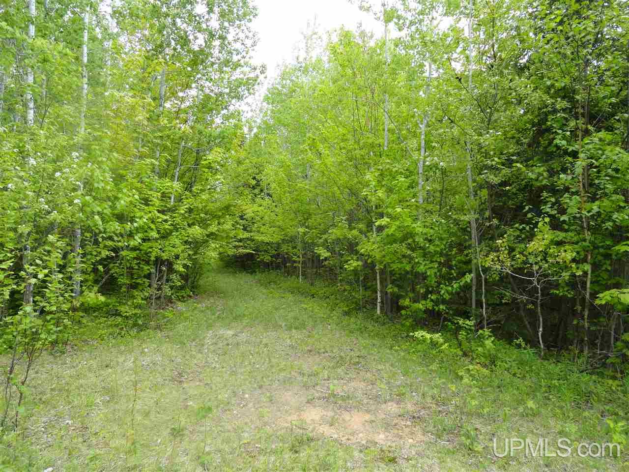 2 Rd Rock Mi 49880 Road Rock, MI 49880 - Photo 13 of 39
