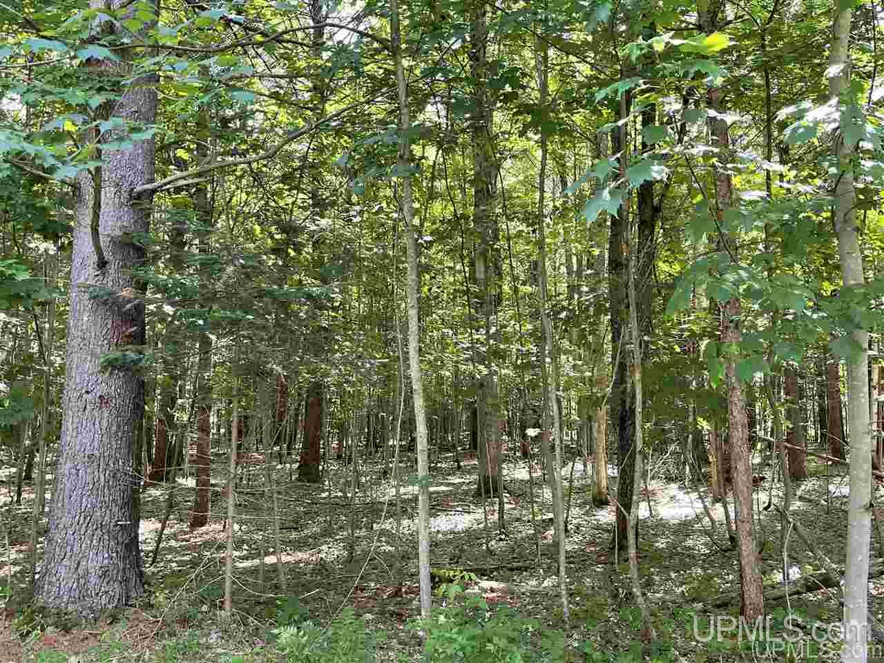 Tbd Chvala Road Manistique, MI 49854 - Photo 3 of 21 Gallery Image 3