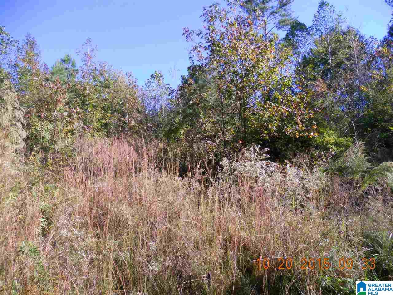 13259 Highway 46 Heflin, AL 36264 - Photo 7 of 17