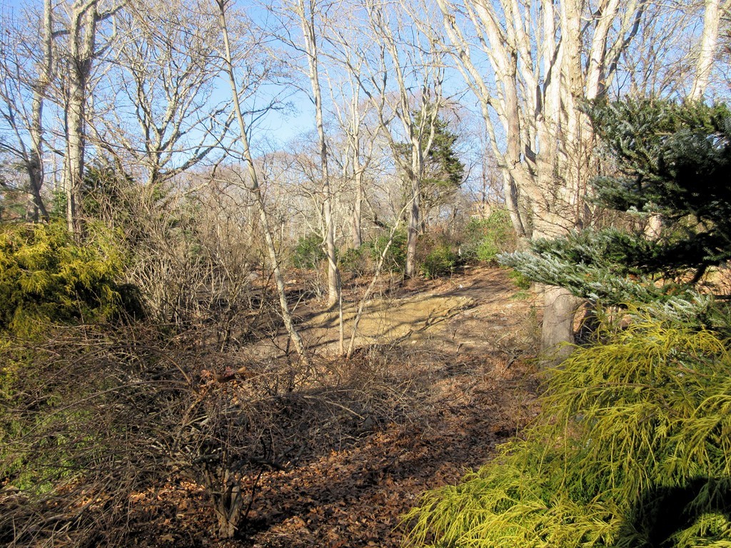 143 Peace Pipe Road Falmouth, MA 02540 - Photo 5 of 7 Gallery Image 5
