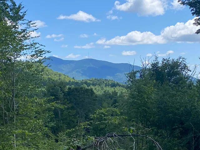 $289,000 | 0 Grout Road, Perkinsville, VT 05151