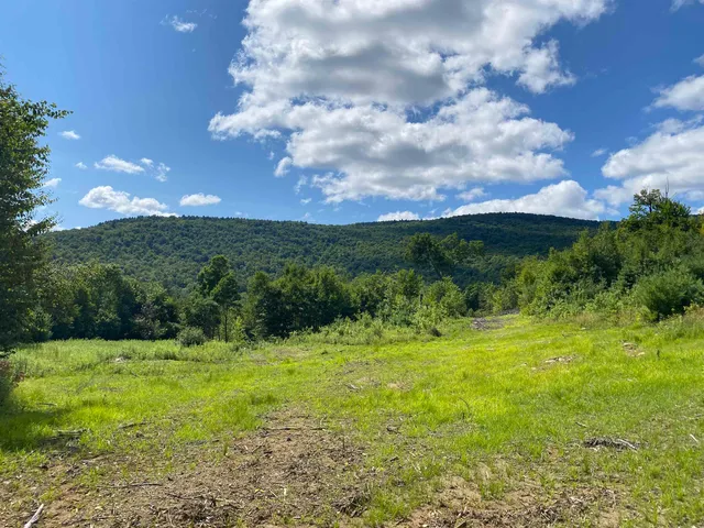 $289,000 | 0 Grout Road, Perkinsville, VT 05151