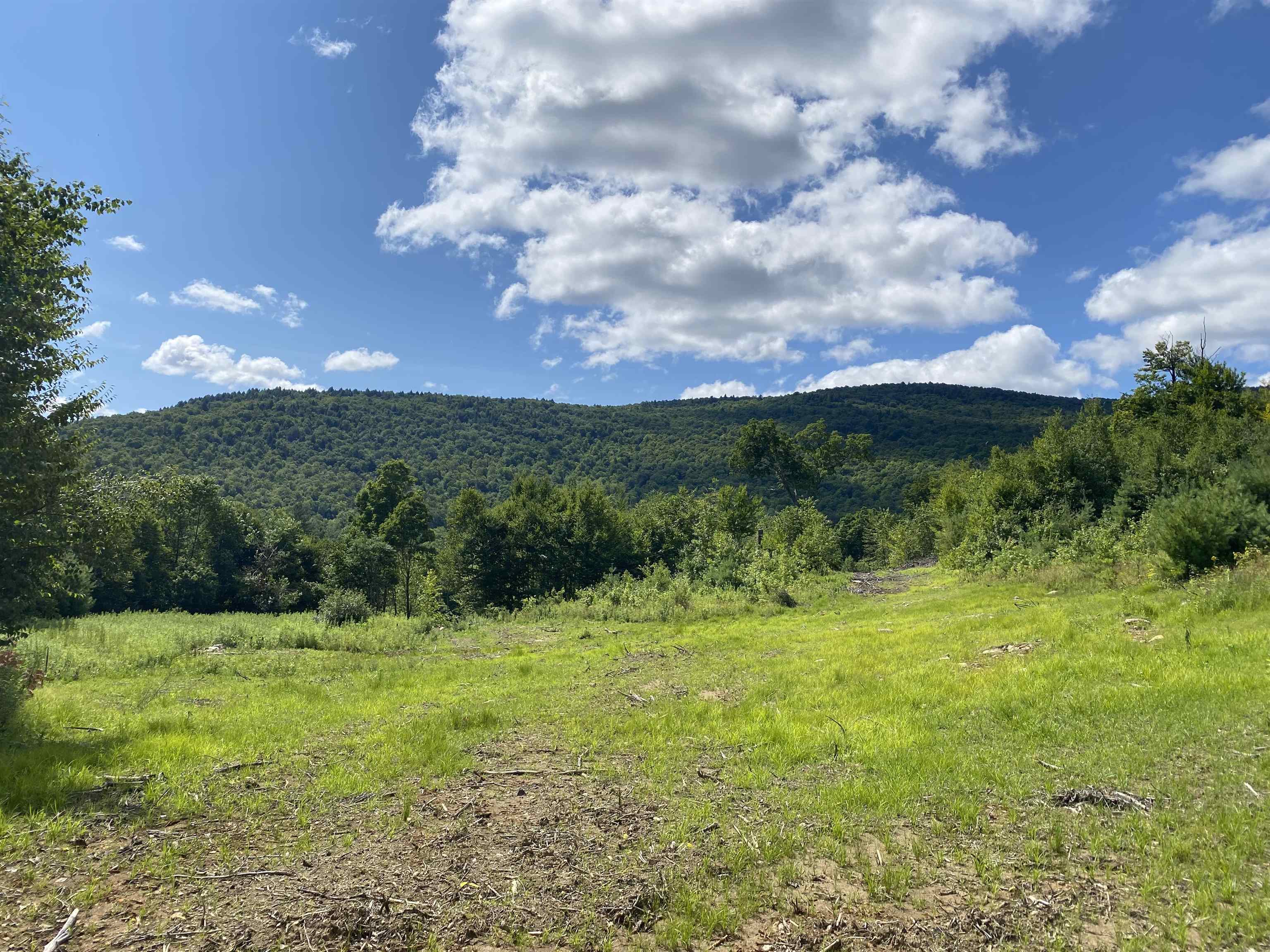 0 Grout Road Perkinsville, VT 05151 - Photo 2 of 6