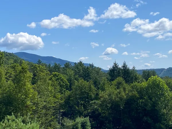 $289,000 | 0 Grout Road, Perkinsville, VT 05151