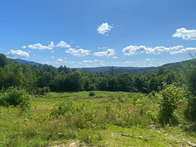 $289,000 | 0 Grout Road, Perkinsville, VT 05151