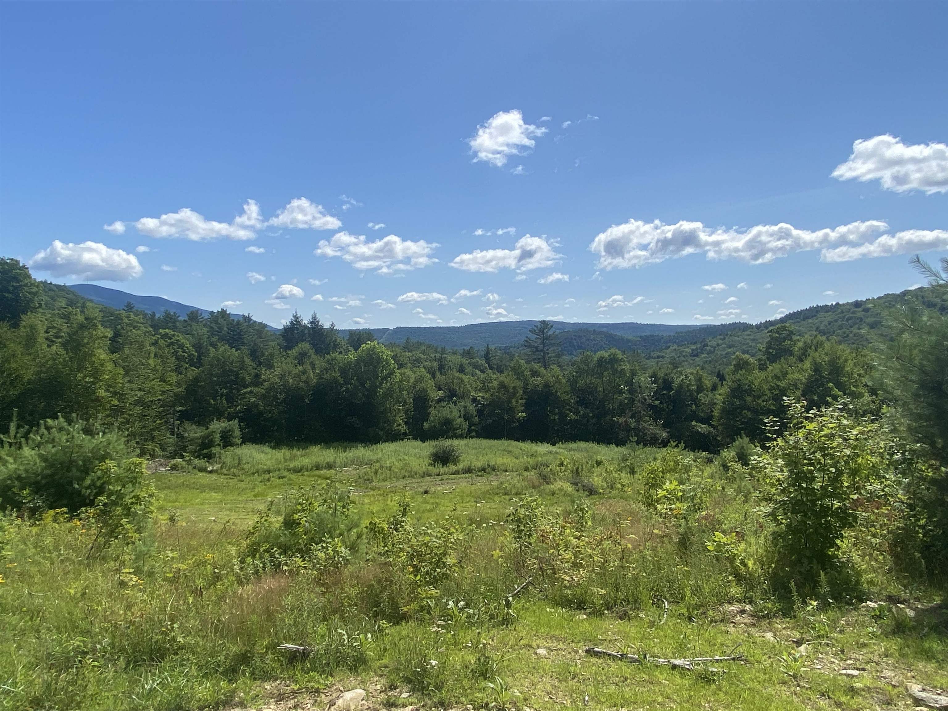 0 Grout Road Perkinsville, VT 05151 - Photo 4 of 6