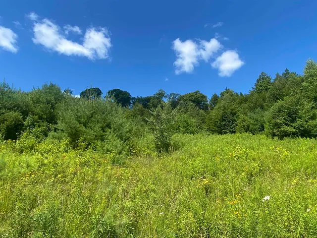 $289,000 | 0 Grout Road, Perkinsville, VT 05151