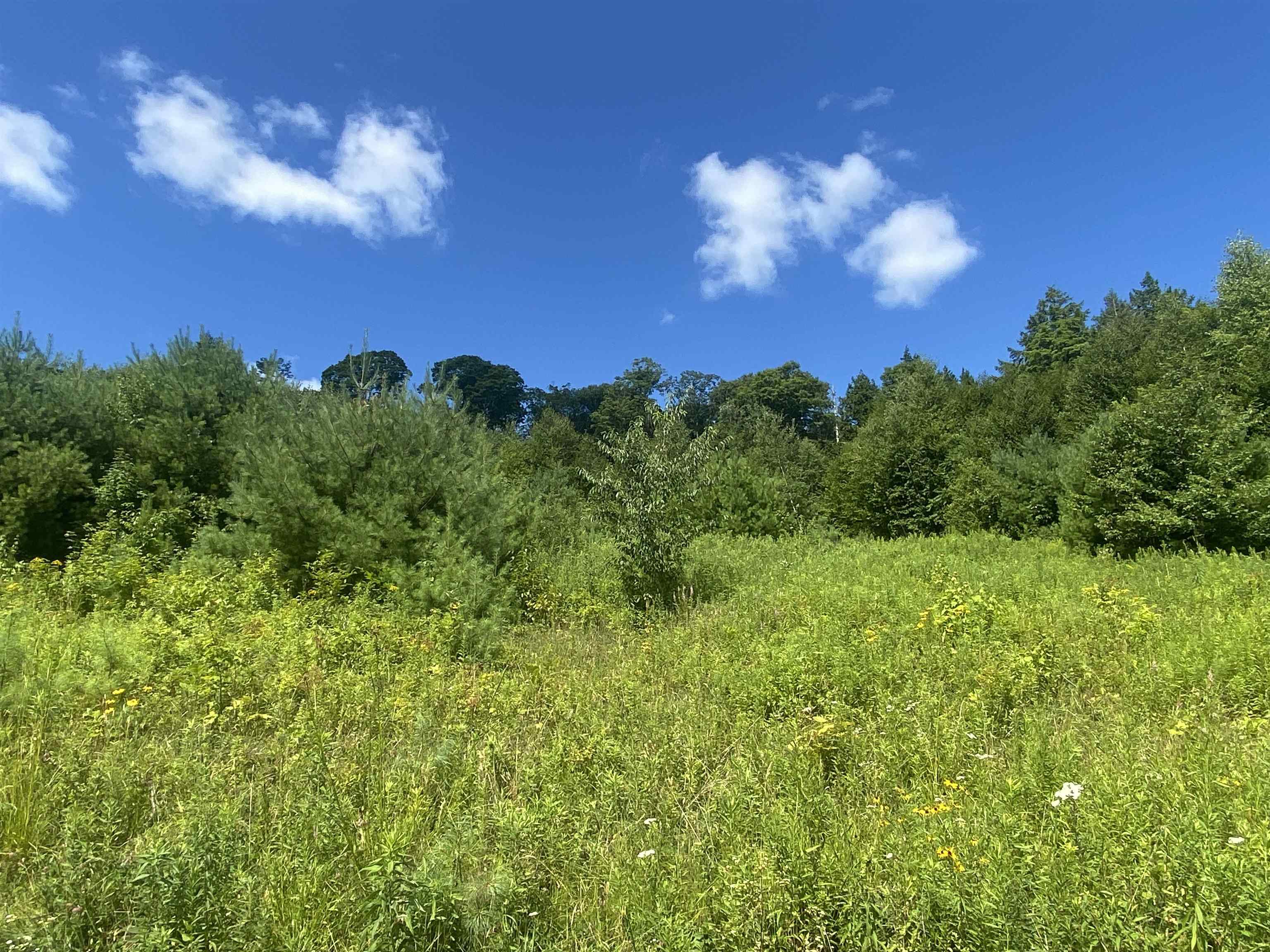 0 Grout Road Perkinsville, VT 05151 - Photo 5 of 6