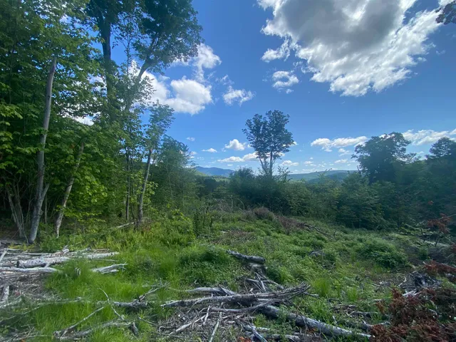 $289,000 | 0 Grout Road, Perkinsville, VT 05151