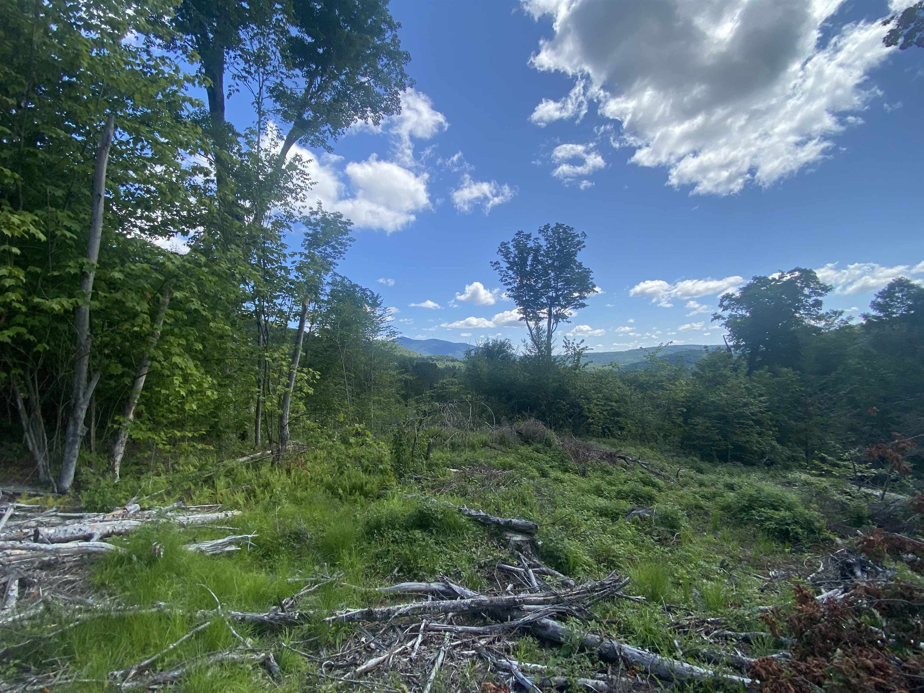 0 Grout Road Perkinsville, VT 05151 - Photo 6 of 6