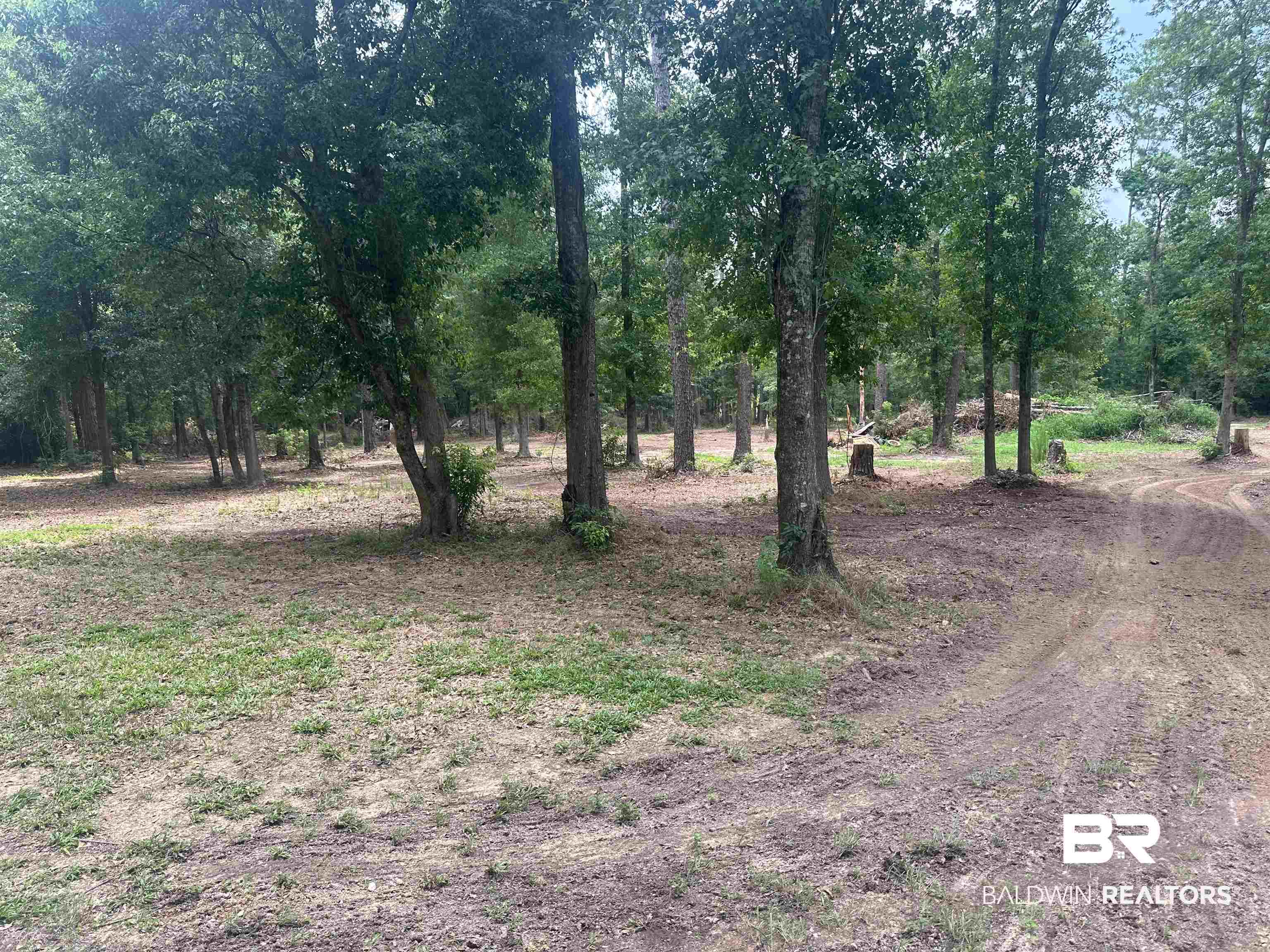 23040 Forland Road Silverhill, AL 36576 - Photo 7 of 13 View of landscape