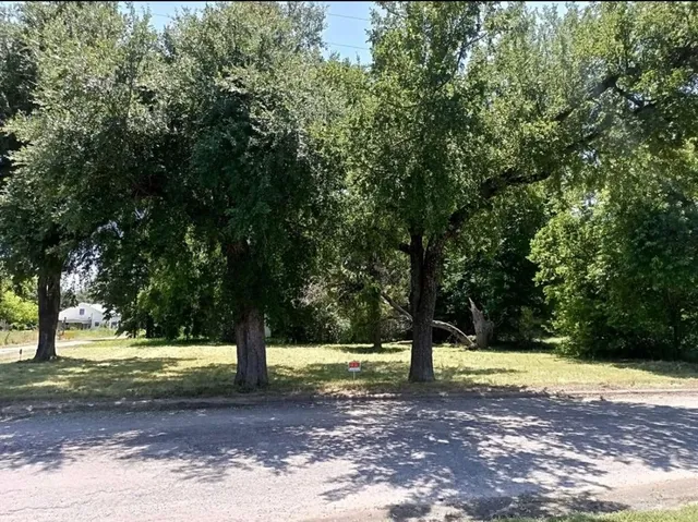 a view of a yard with tree s