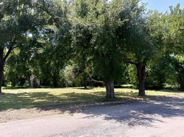 a view of a tree in a yard
