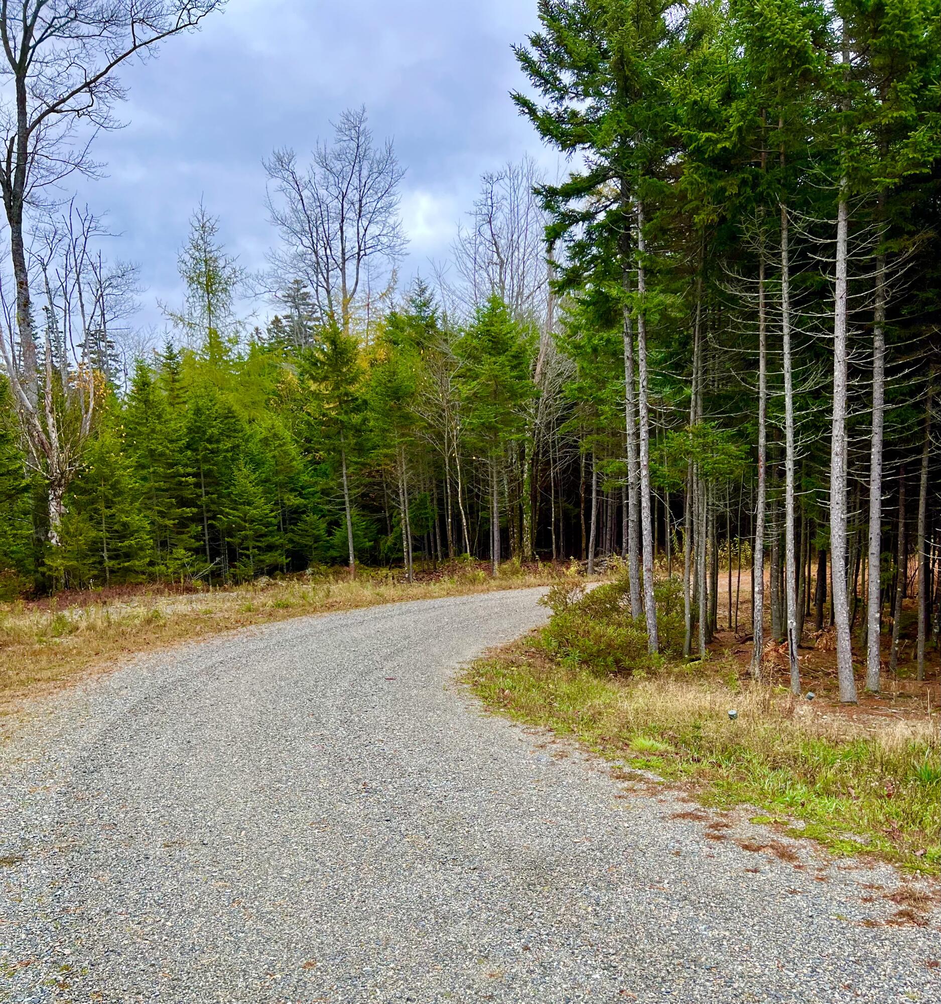 100 Bass Harbor Road Southwest Harbor, ME 04679 - Photo 46 of 52 Driveway