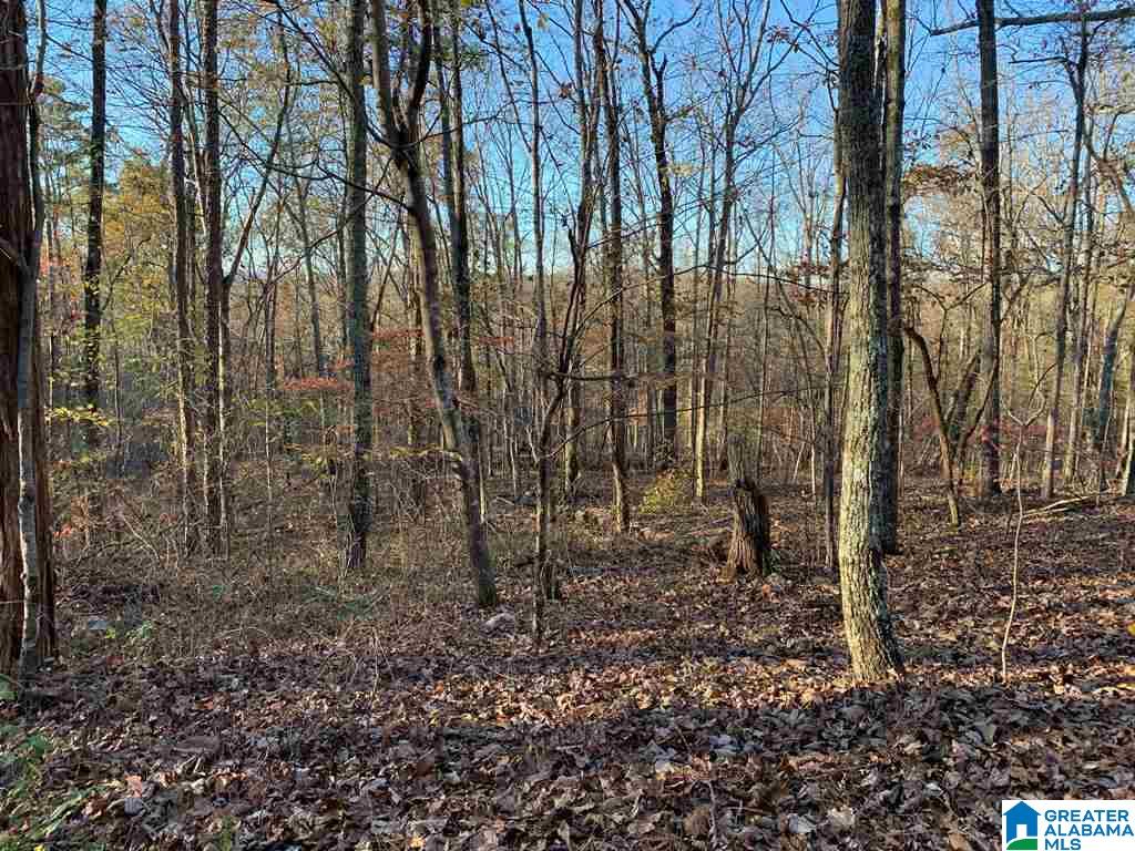 240 Larkhaven Lane, Unit 20 ACRES Springville, AL 35146 - Photo 12 of 17