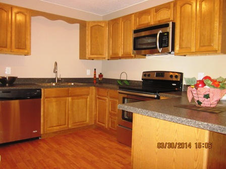 3309 Forge Hideaway Road Pigeon Forge, TN 37863 - Photo 2 of 9 kit