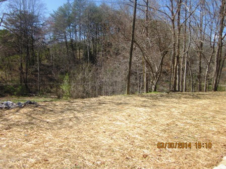 3309 Forge Hideaway Road Pigeon Forge, TN 37863 - Photo 9 of 9 yard