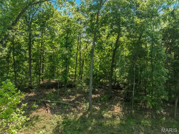 $104,500 | 2545 Alpine Woods Drive, Innsbrook, MO 63390