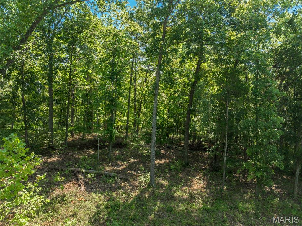 2545 Alpine Woods Drive Innsbrook, MO 63390 - Photo 7 of 11