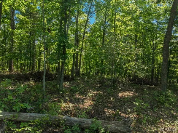 $104,500 | 2545 Alpine Woods Drive, Innsbrook, MO 63390