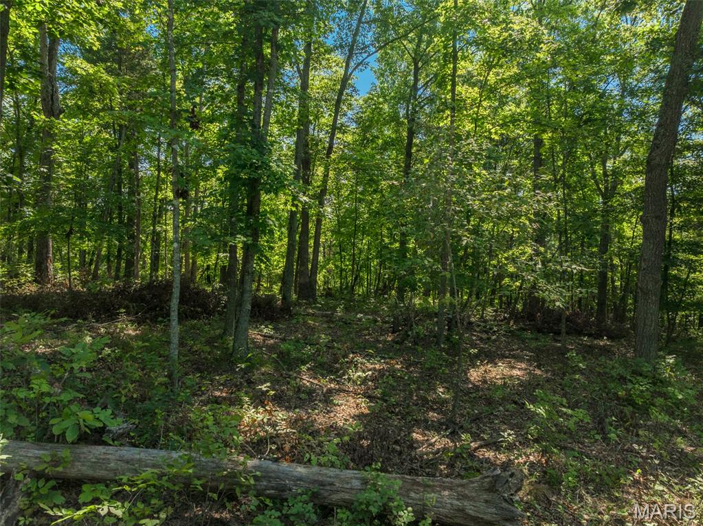 2545 Alpine Woods Drive Innsbrook, MO 63390 - Photo 8 of 11