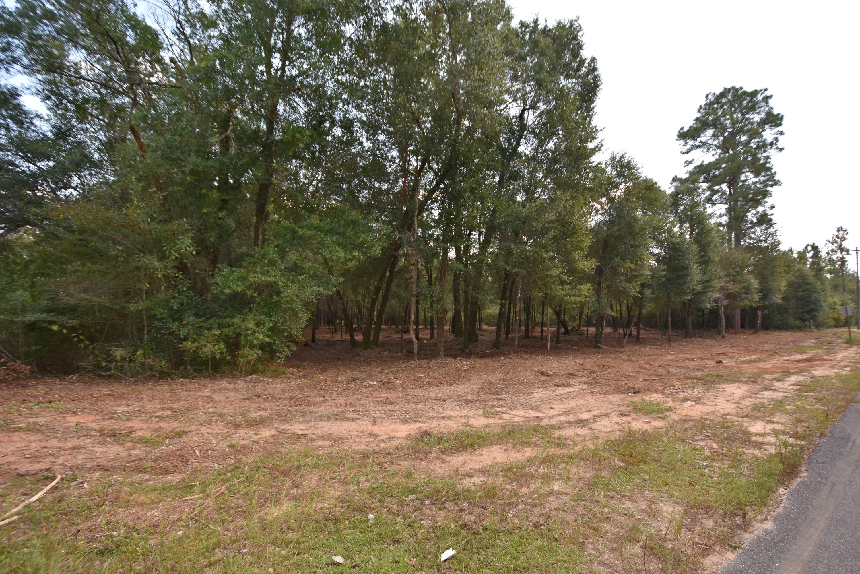 1.31-ac Wilkerson Bluff Road Holt, FL 32564 - Photo 3 of 8 Wilkerson Bluff Road 1 acre 03 Northwest