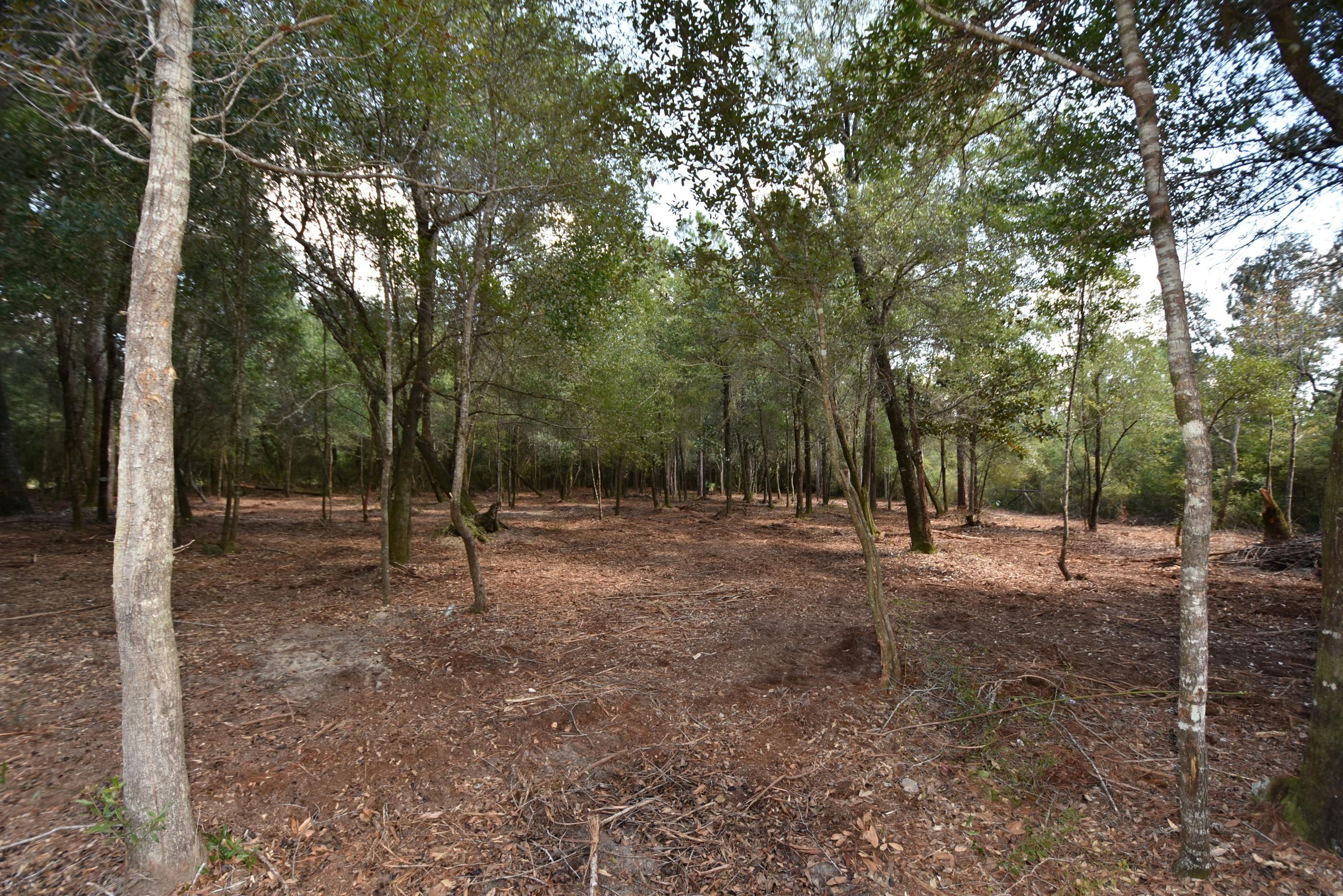 1.31-ac Wilkerson Bluff Road Holt, FL 32564 - Photo 4 of 8 Wilkerson Bluff Road 1 acre 04