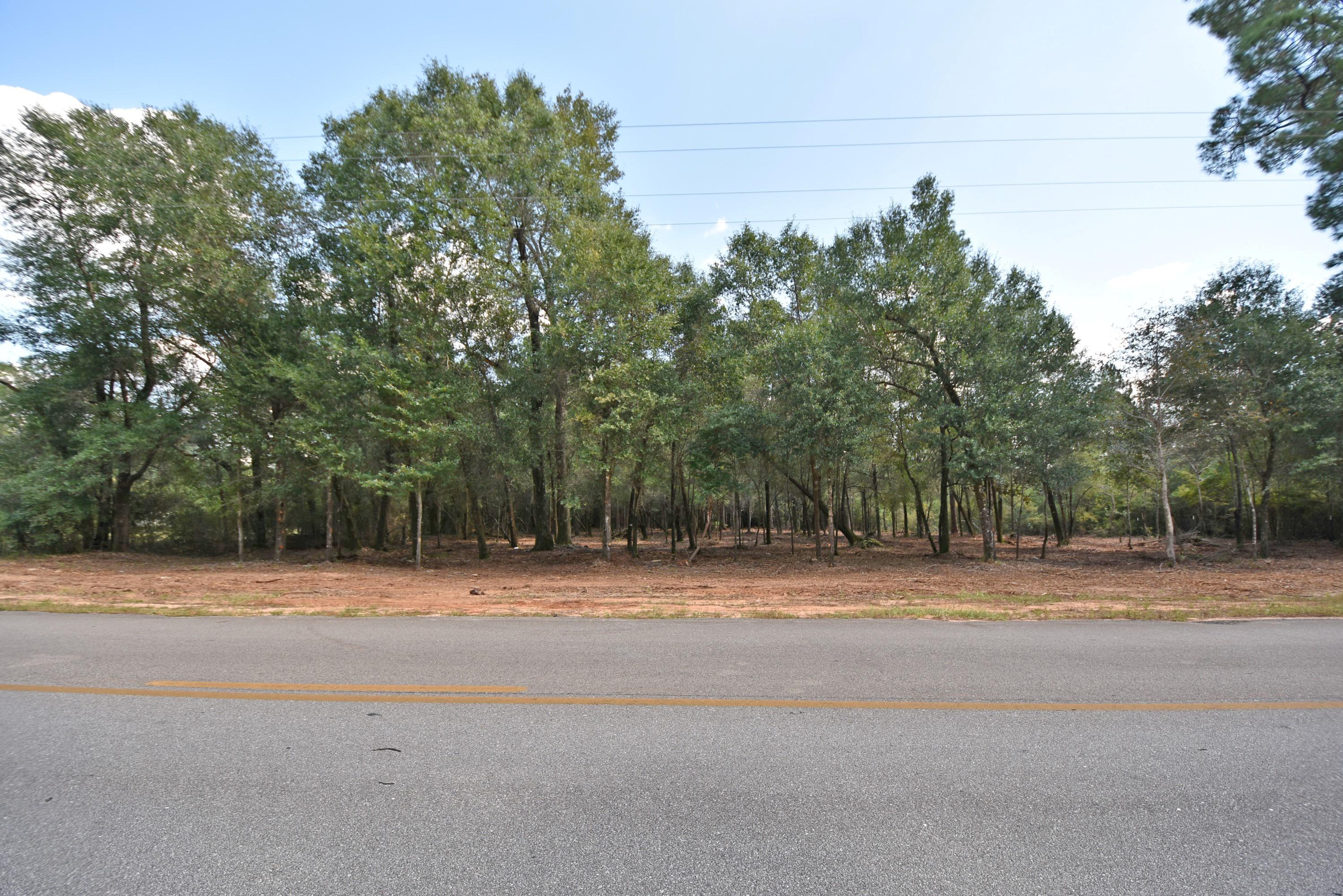 1.31-ac Wilkerson Bluff Road Holt, FL 32564 - Photo 7 of 8 Wilkerson Bluff Road 1 acre 07